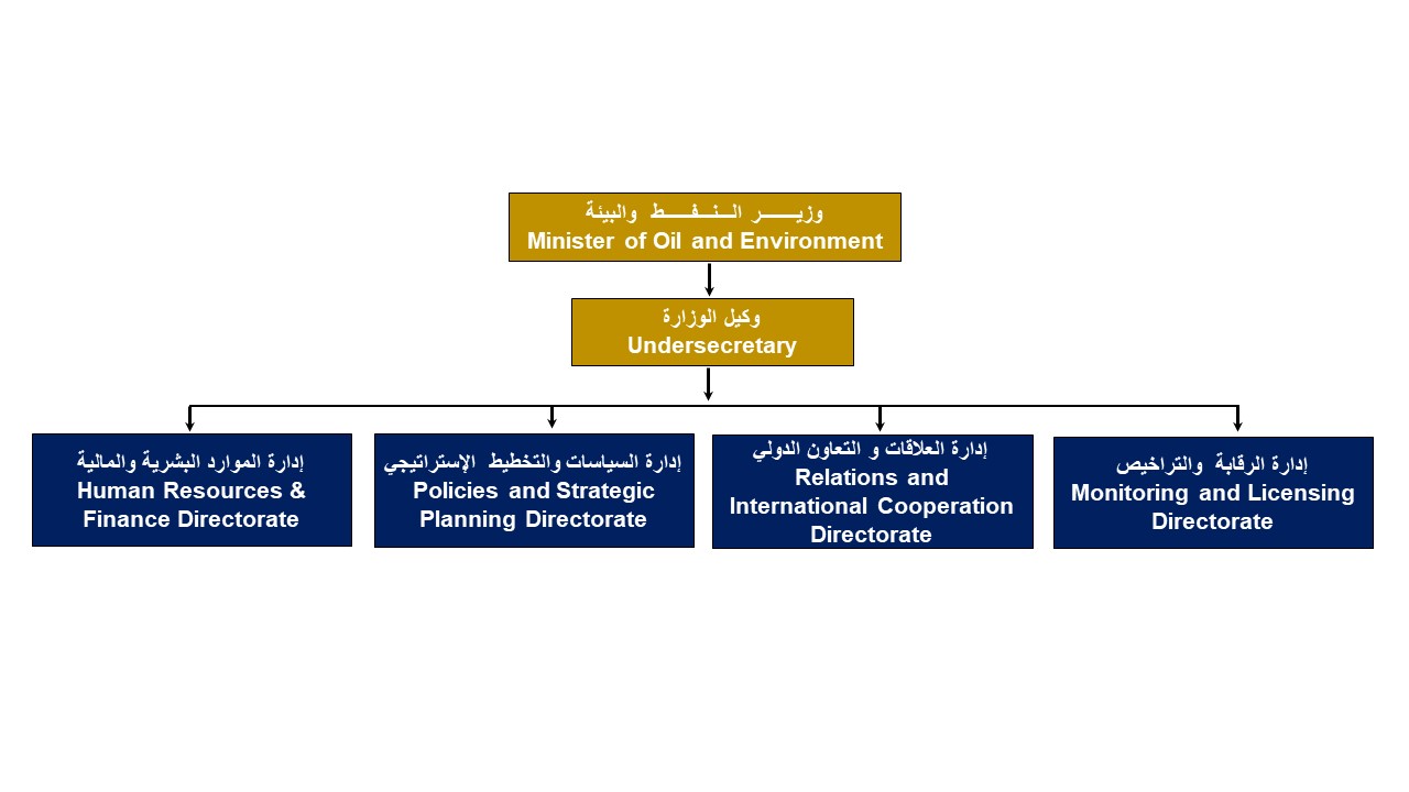 Organization Structure